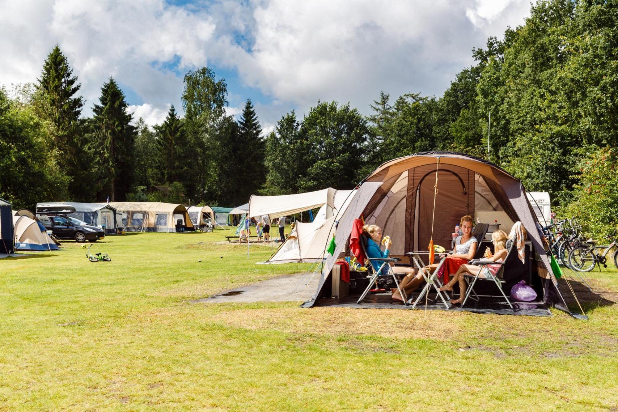 Rcn Vakantiepark De Roggeberg Appelscha Kültér fotó
