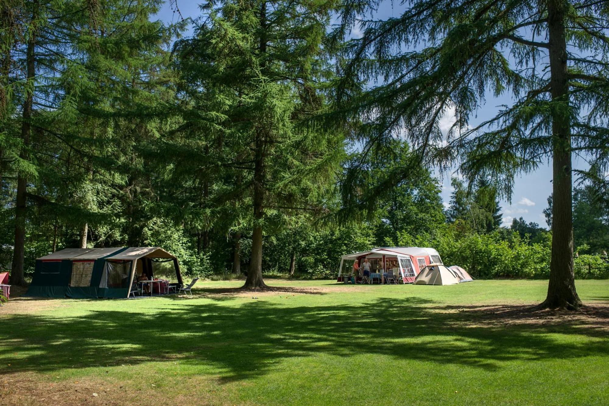 Rcn Vakantiepark De Roggeberg Appelscha Kültér fotó
