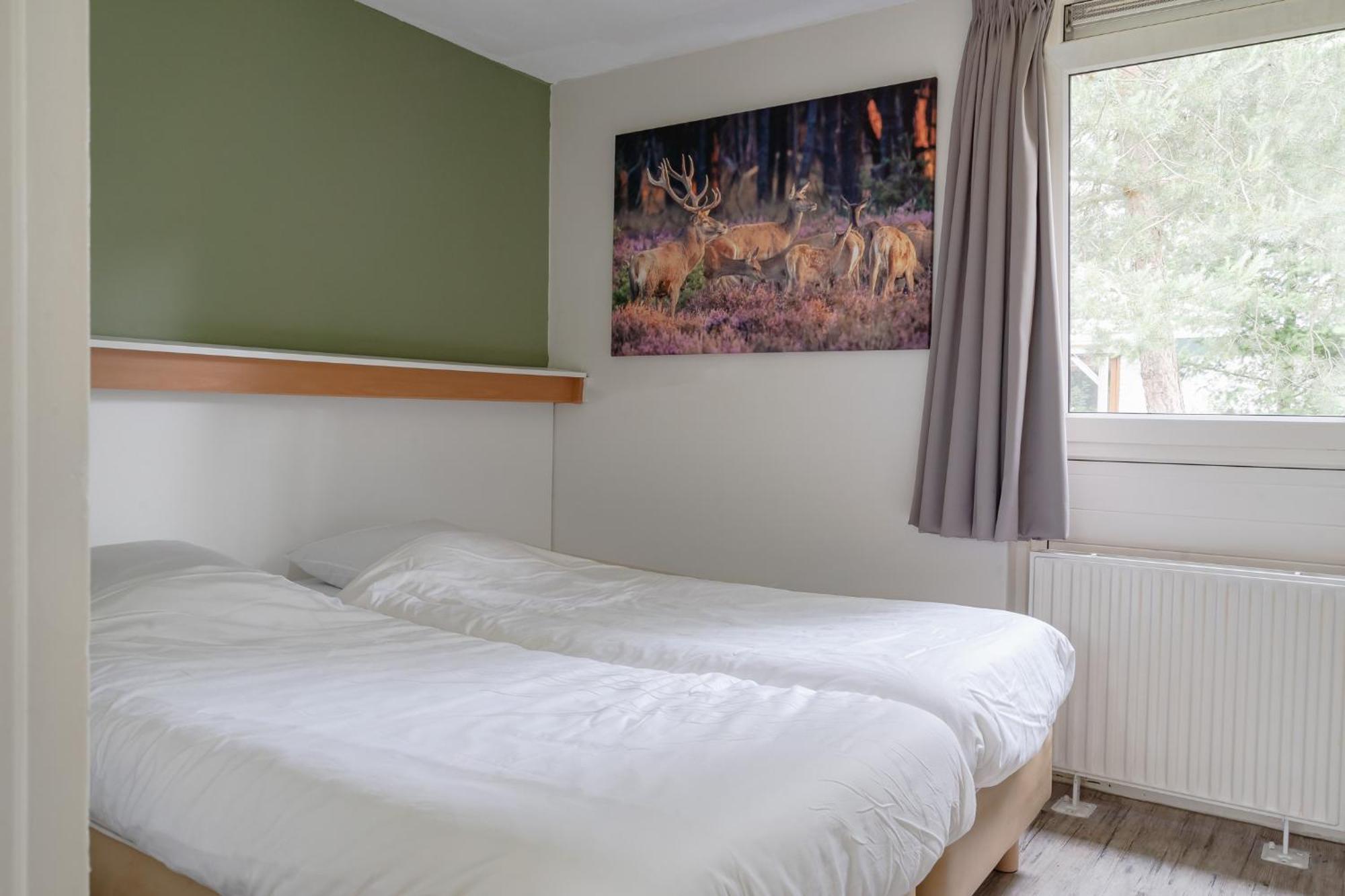 Rcn Vakantiepark De Roggeberg Appelscha Kültér fotó