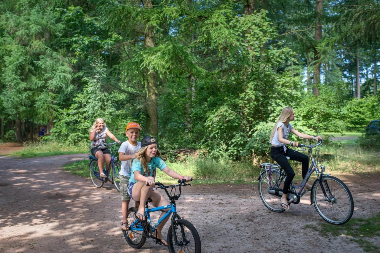 Rcn Vakantiepark De Roggeberg Appelscha Kültér fotó